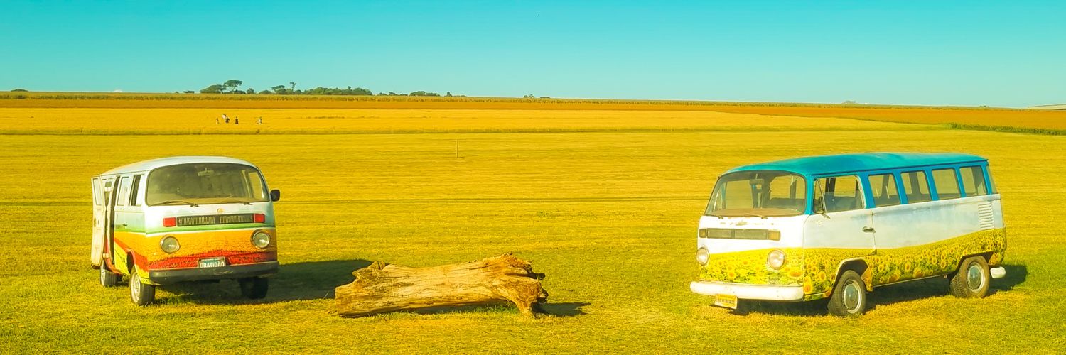 tommasfischer's profile banner image