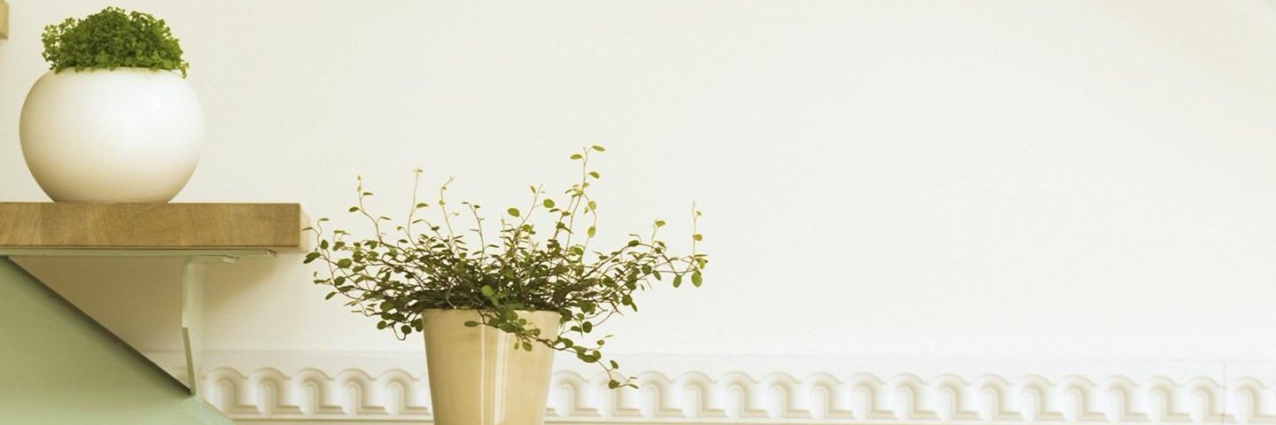 敏仪珠 banner