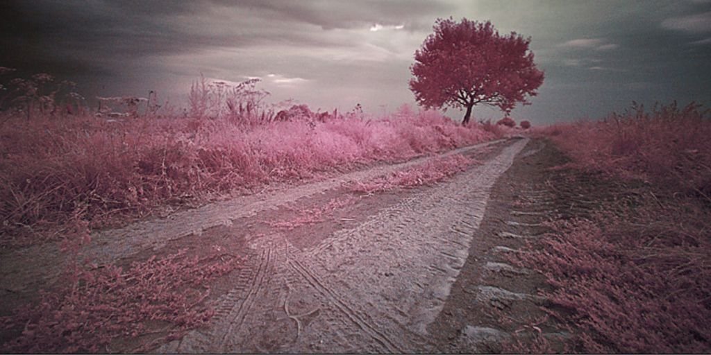 Marielfm90's profile banner image