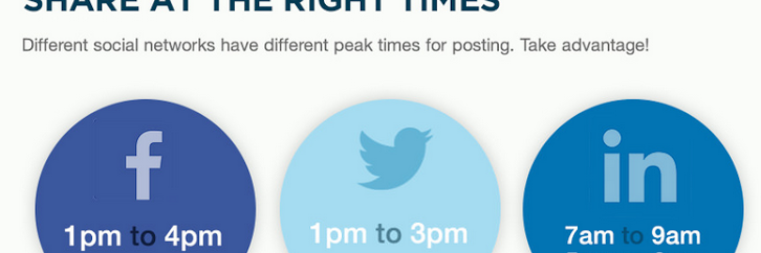 mark roechner banner