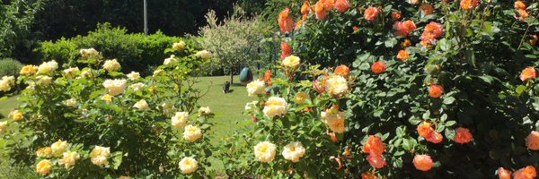 AnnaLuhrs Profile Banner