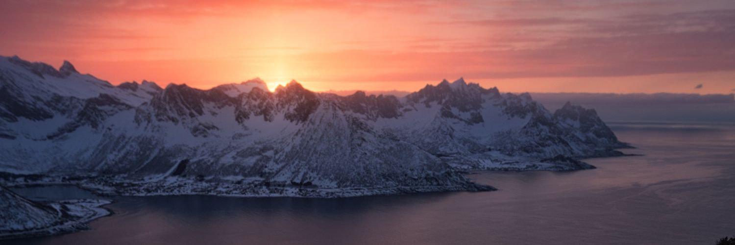 webbvenga's profile banner image