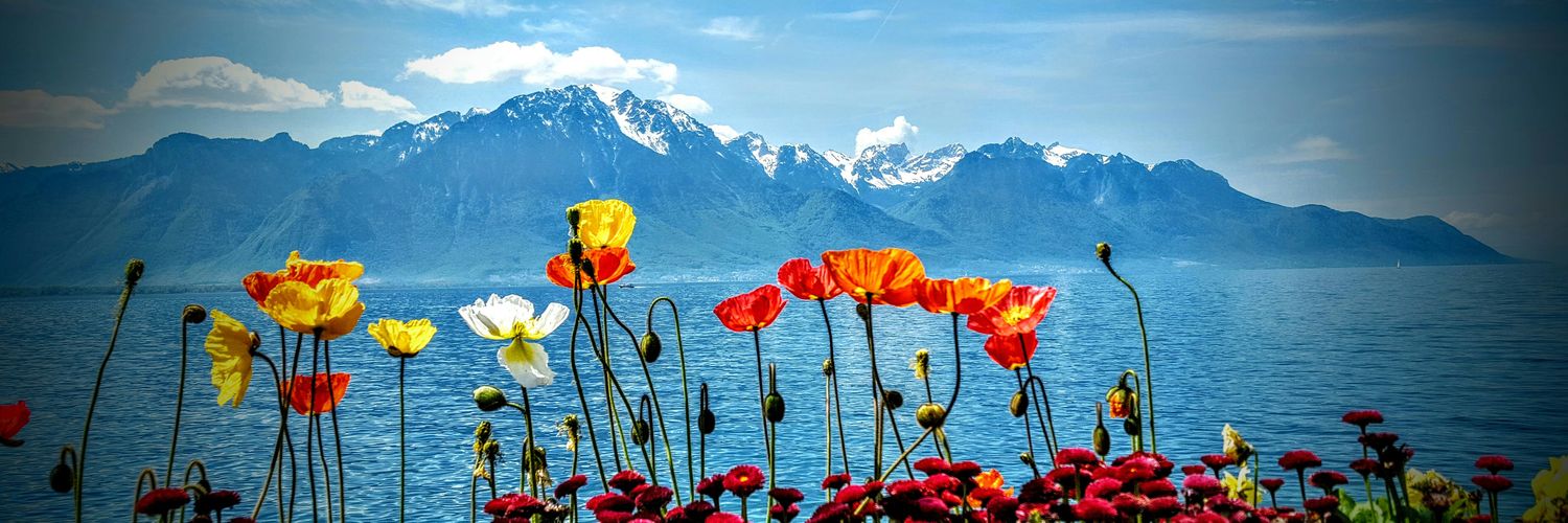 ClaudeHumard's profile banner image