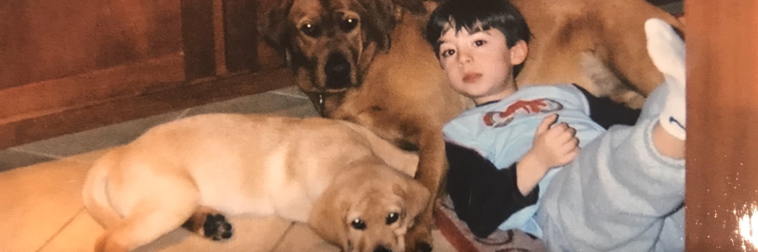 ShaneBidwell's profile banner image