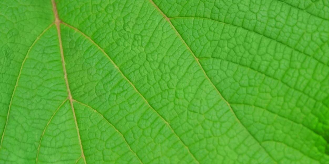 GroenGeotermia's profile banner image