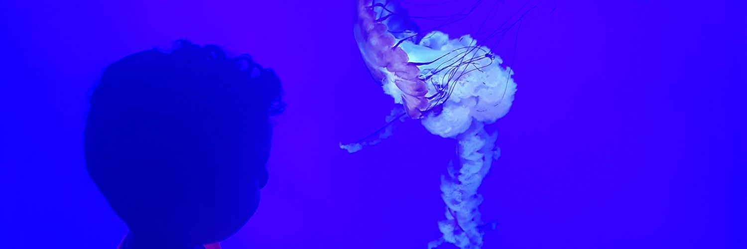 nessinaccs's profile banner image