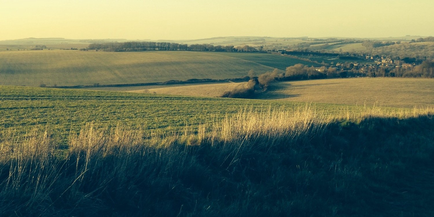 Dom ffrench Davis banner