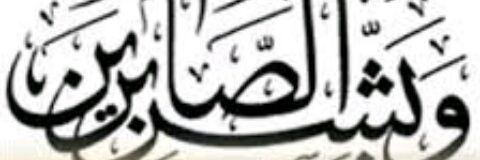 algobif's profile banner image
