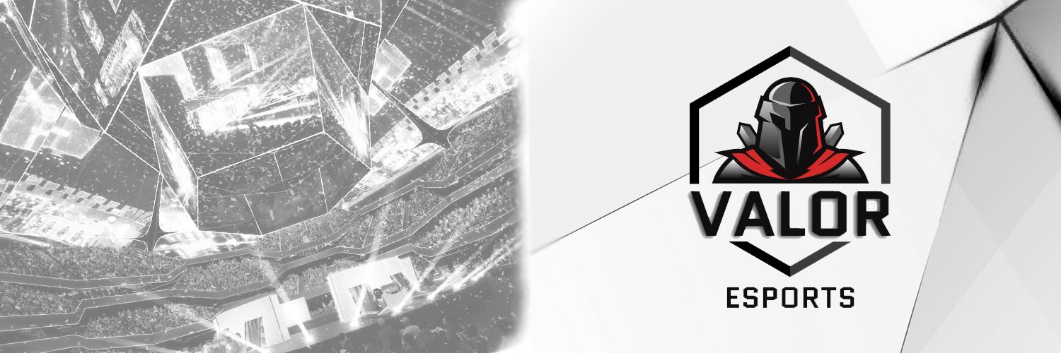 Valor Esports banner