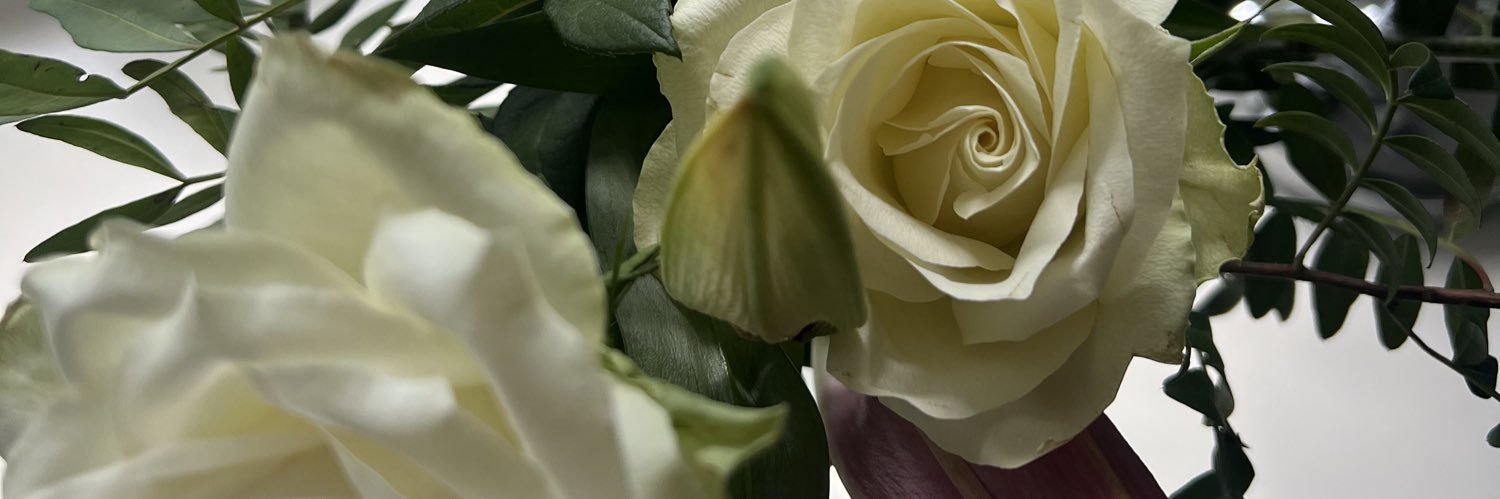 rubymurphyx's profile banner image
