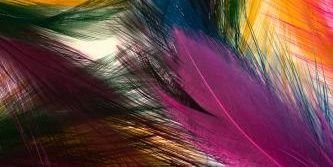 AnnyVeraR's profile banner image