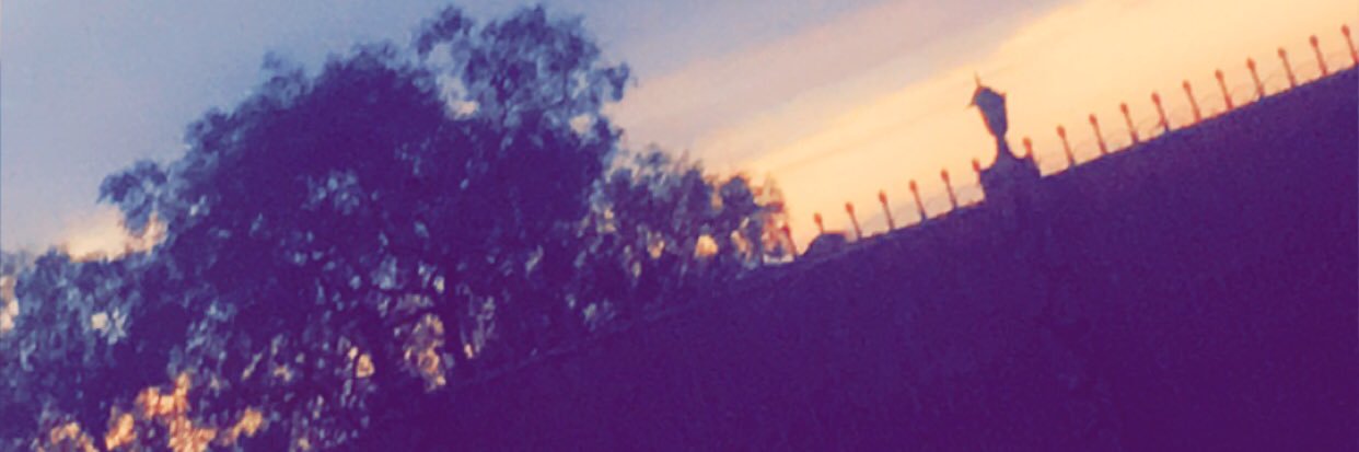 mmohammed17q's profile banner image