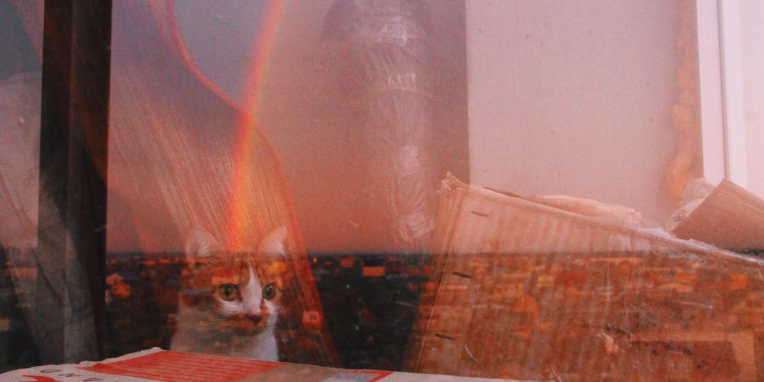 kuhlya's profile banner image