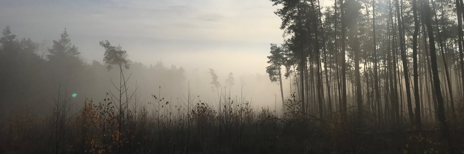 fjebes's profile banner image
