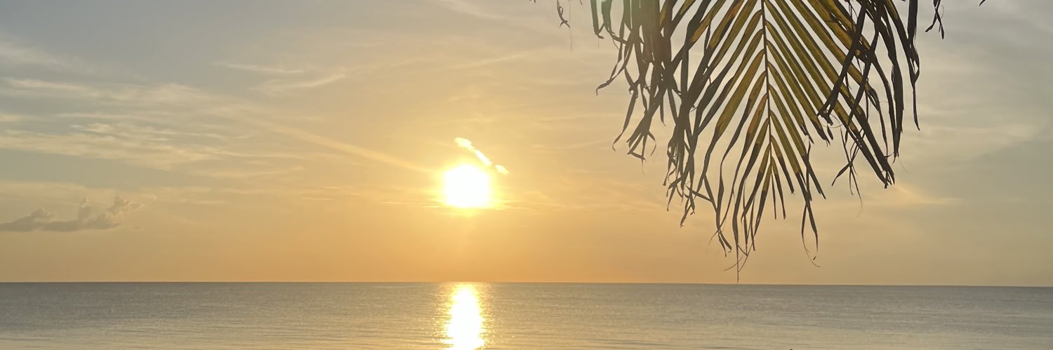 baconysoap's profile banner image