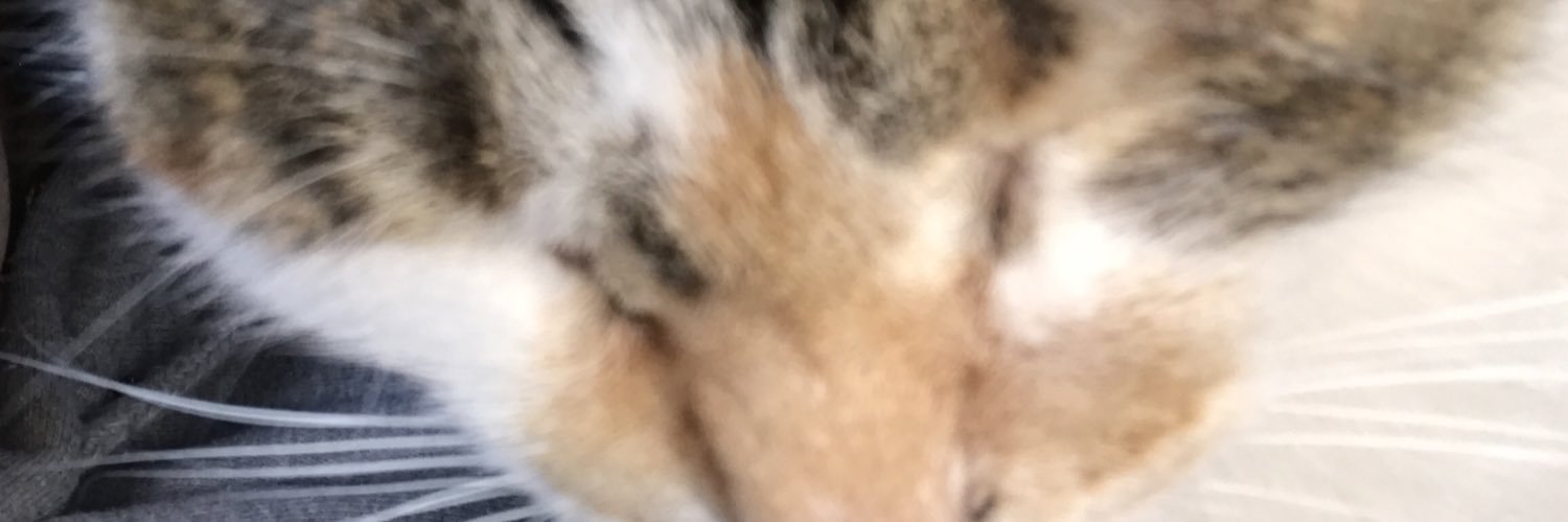sunray1850's profile banner image