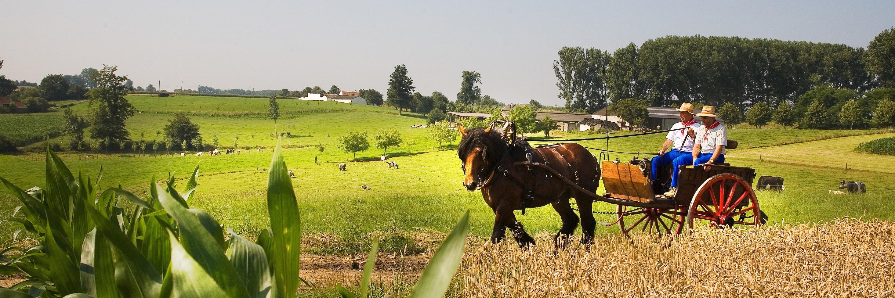 VisitPajotZenne's profile banner image