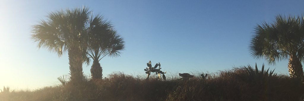 AmericanGirl311's profile banner image