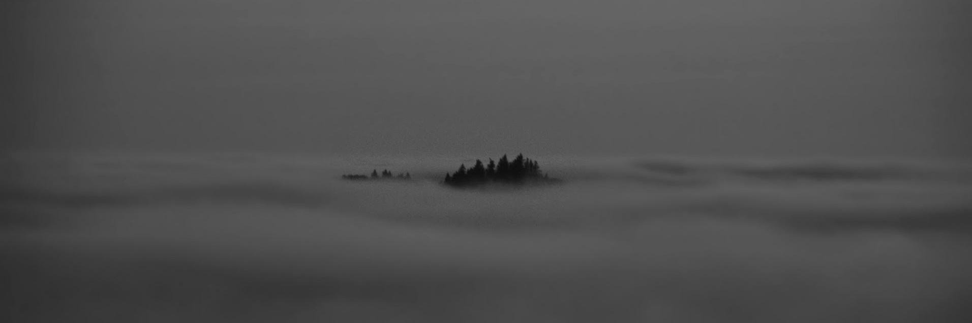 lampofamber's profile banner image
