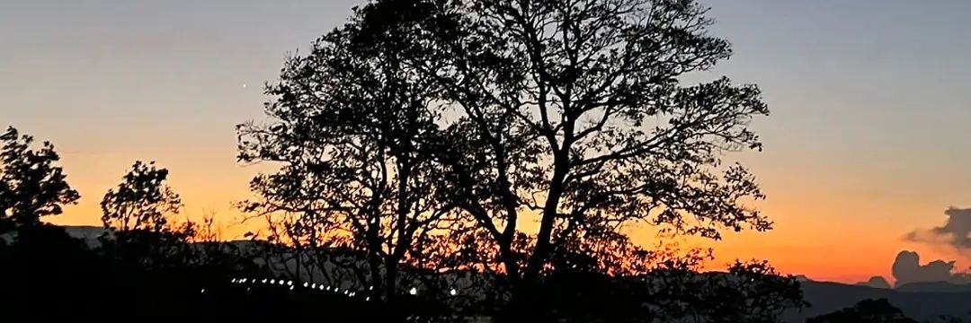 ximenacala89's profile banner image