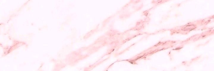 Daniela_Castel_'s profile banner image