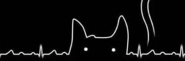 sldayprk's profile banner image