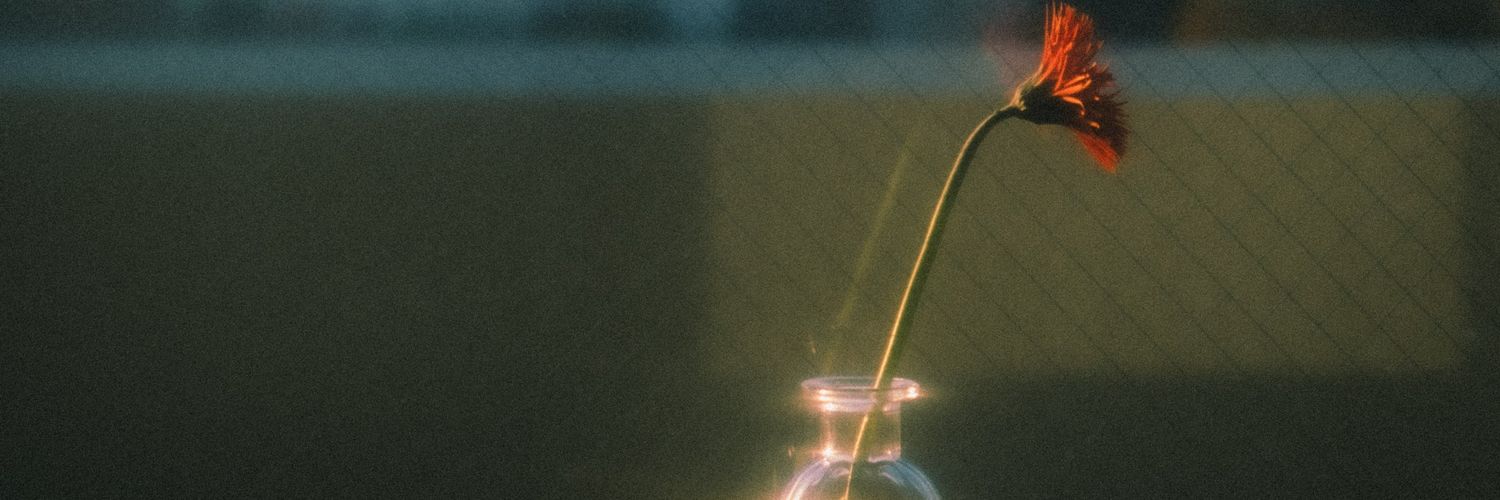 711Bear's profile banner image