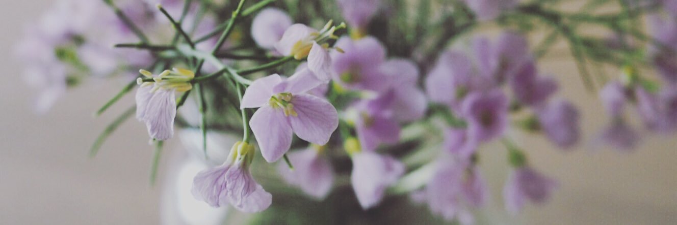 Ingrid Rogstad banner