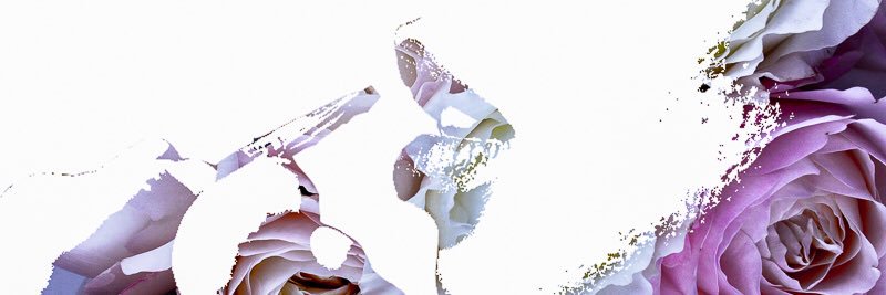 TSuttonPhoto's profile banner image