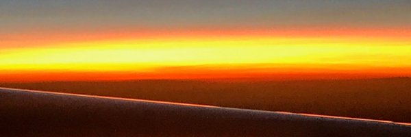 Zerebritvs Profile Banner