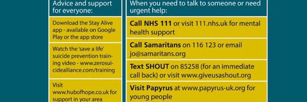 Vicky McDonald Woods banner