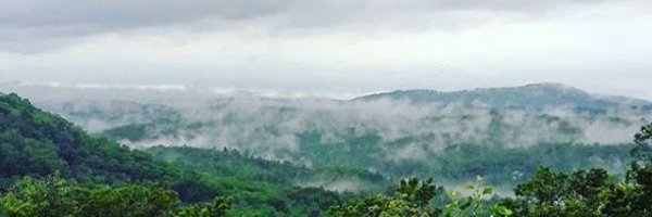 TimHopkinson Profile Banner