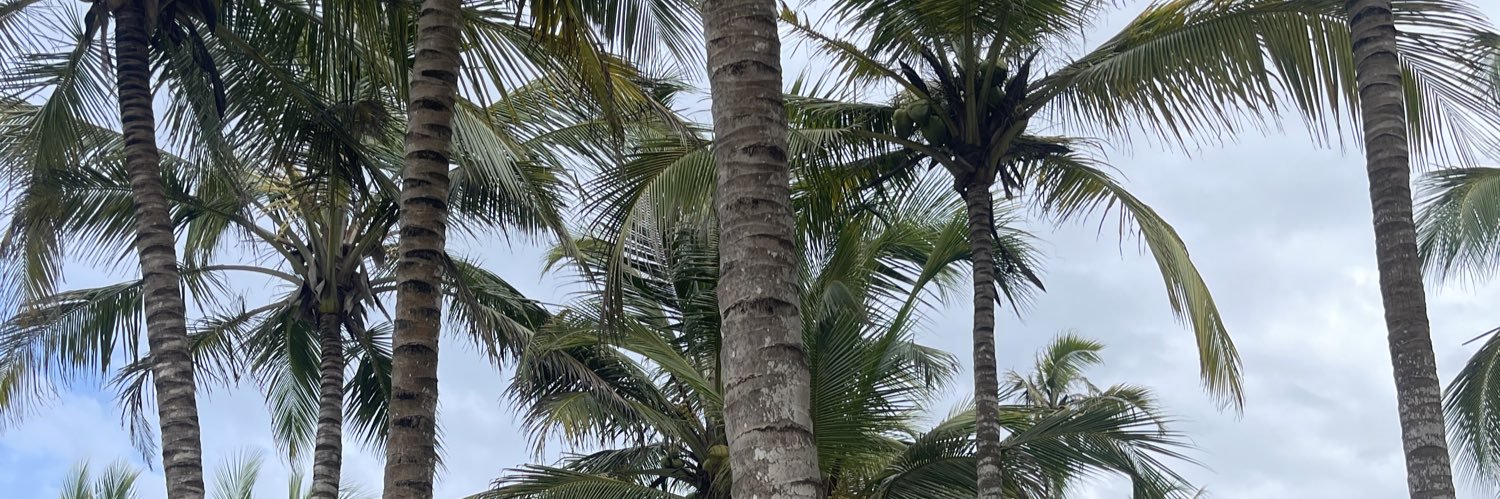 DanielEspinosa7's profile banner image