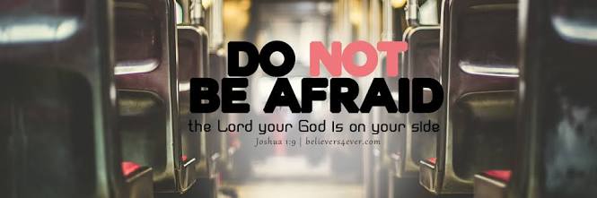 FPL No Rings, Just Wins banner