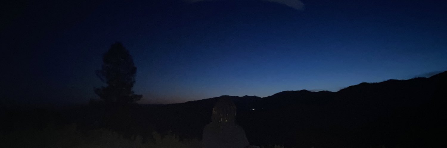 Astsauver's profile banner image