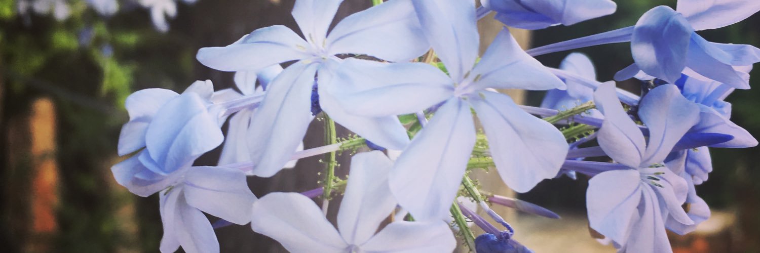 ilske74's profile banner image