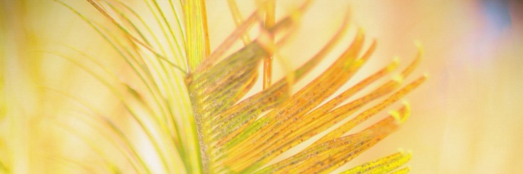 LexAtWatersEdge's profile banner image