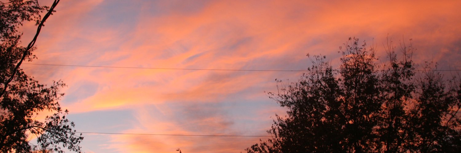saria_castillo's profile banner image