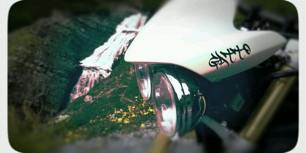 82gatto82's profile banner image