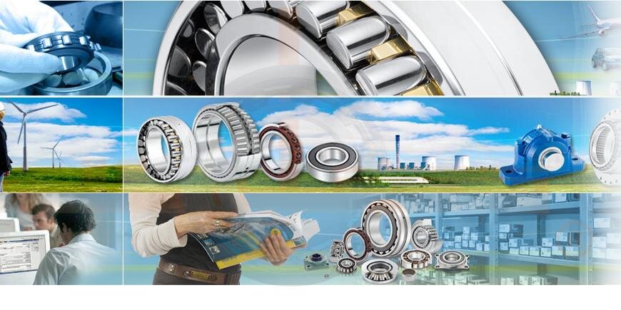 DelazarBearing's profile banner image