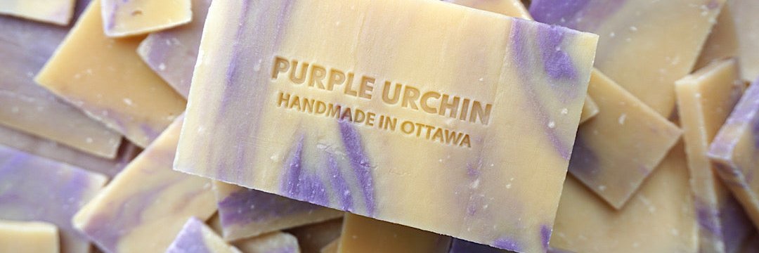 Purple_Urchin's profile banner image