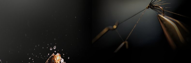 Clrbrk's profile banner image