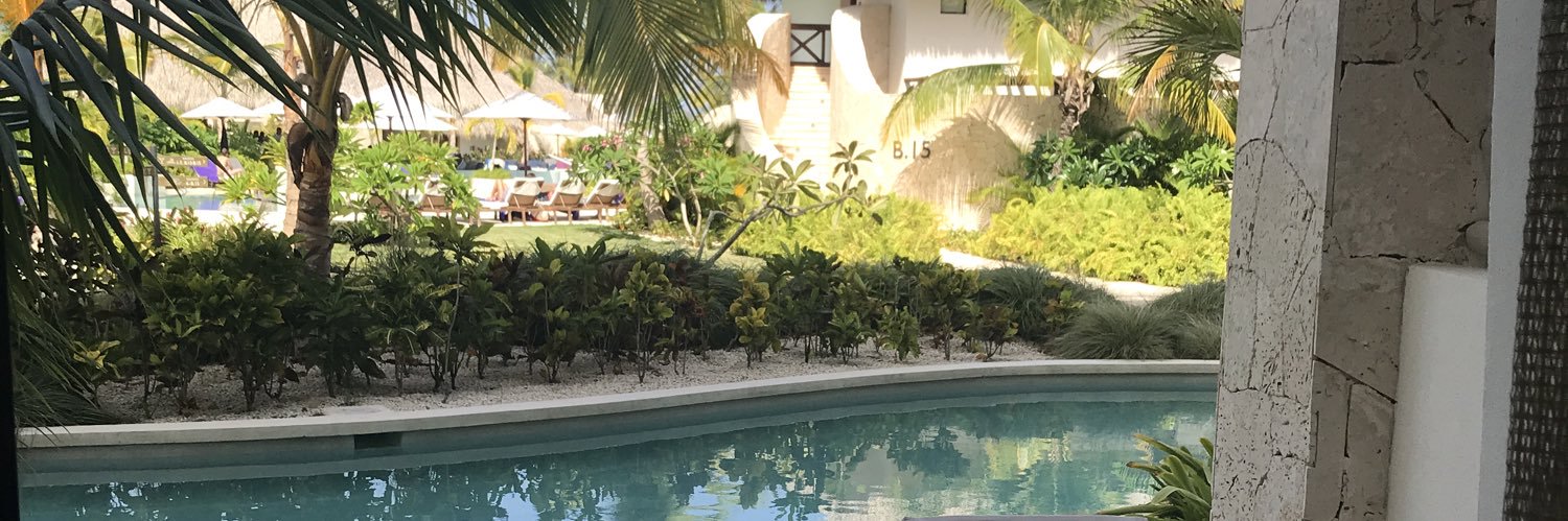 David Michael banner