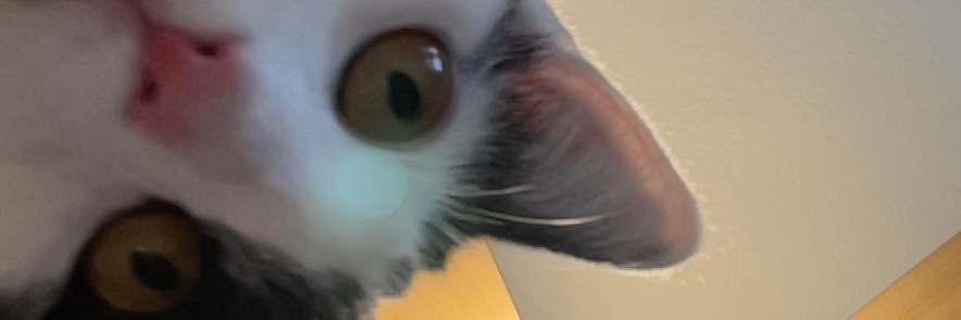 gutsngreens's profile banner image