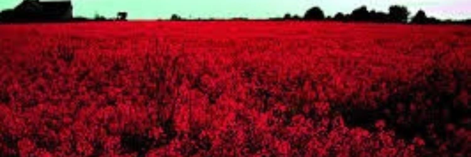 StephenJForrest's profile banner image