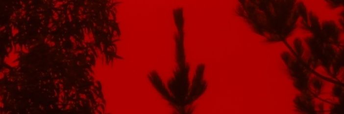 _kceb's profile banner image