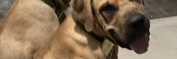 TadiMayor Profile Banner