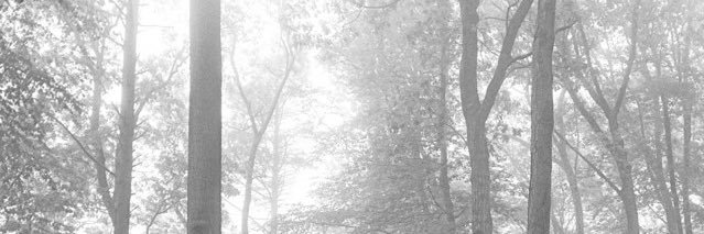 witforeverboy's profile banner image