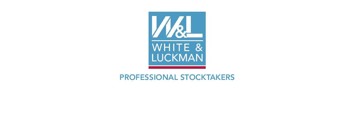 whiteandluckman's profile banner image