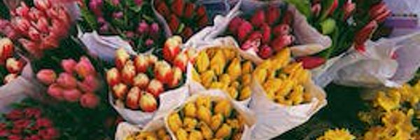 robpierce2verbs Profile Banner